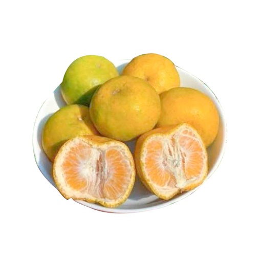 JERUK KEPROK /KG – Lotte Grosir Yogyakarta | Lotte Grosir | Lotte Grosir